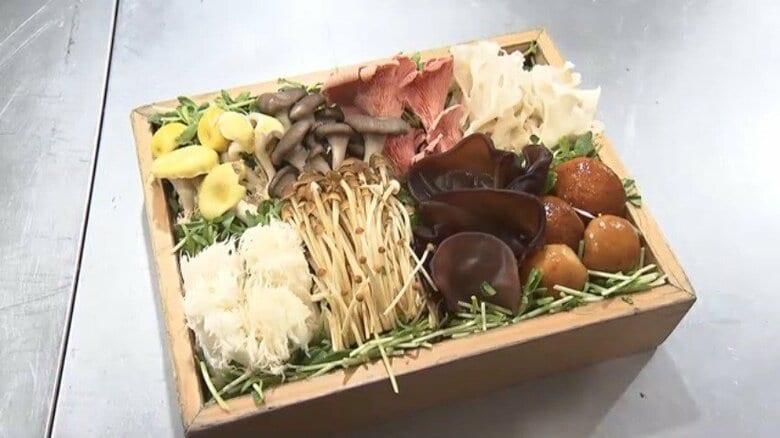 「おいしい・安い・体にいい」物価高の救世主“きのこ”に熱視線！「流通量も価格もかなり安定」ハウス栽培で短期出荷可能も｜FNNプライムオンライン