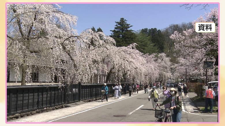 桜の季節の仙北市角館町の武家屋敷通り