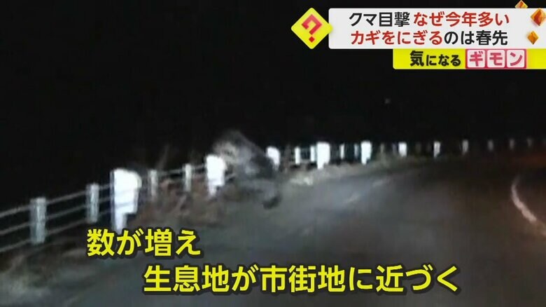 （札幌市）