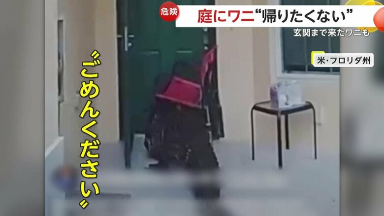 住宅の玄関に現れていたワニ