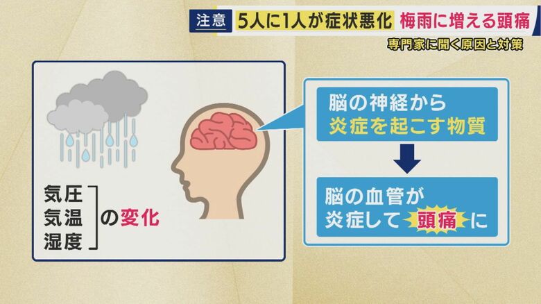 気圧や湿度などの変化で脳の神経から炎症を起こす物質が出され…
