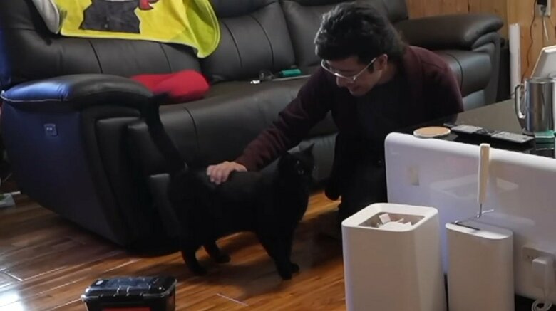 あまりにも訴えるのでケージから出してあげることに