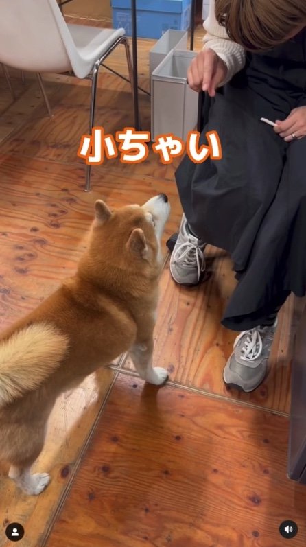 提供：エイトデザイン