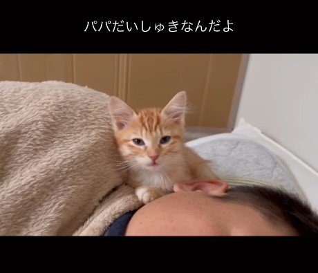 提供：oimo & yuzukiさん