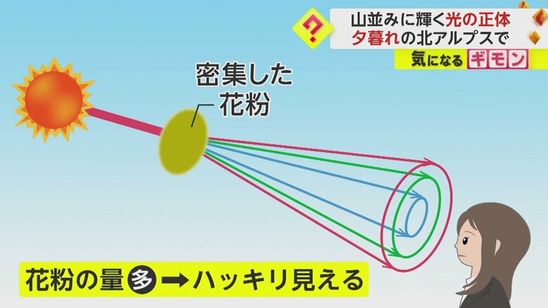 花粉光環の仕組み