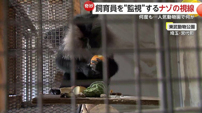 シーラくんの食事風景