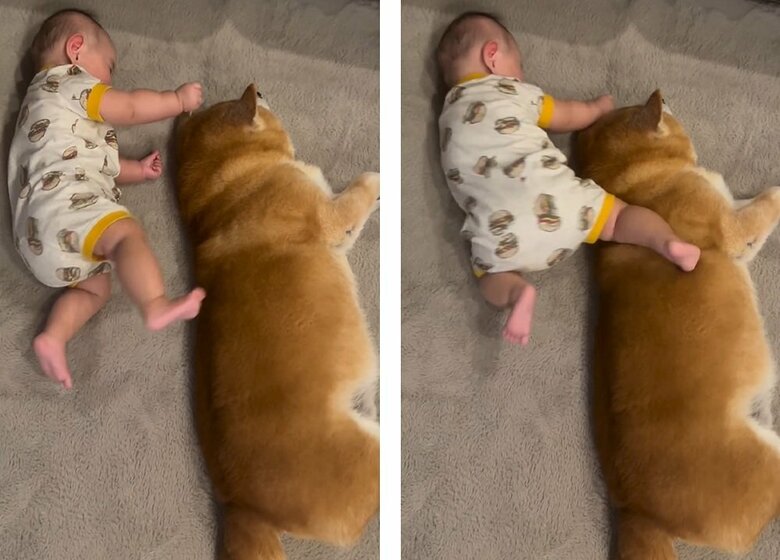 寝返りを打とうとした娘さんの足が、べりやんくんに足がヒット！