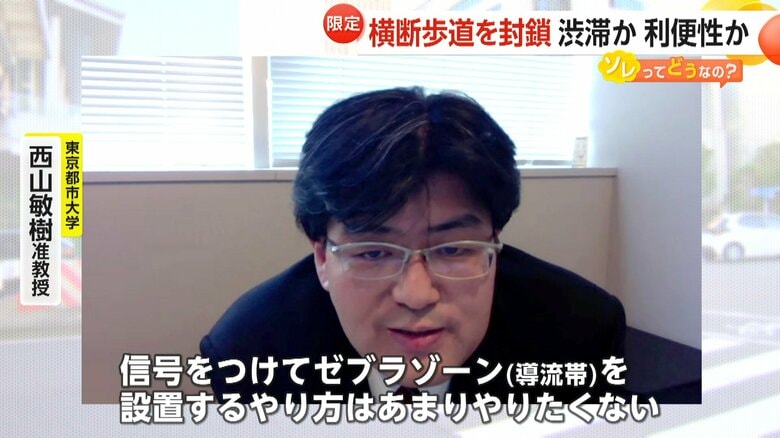 横断歩道のデメリットを説明する東京都市大学・西山敏樹准教授