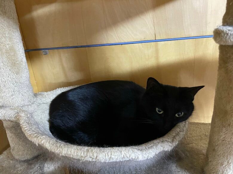 提供：マクーさん