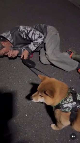 提供：カンさん