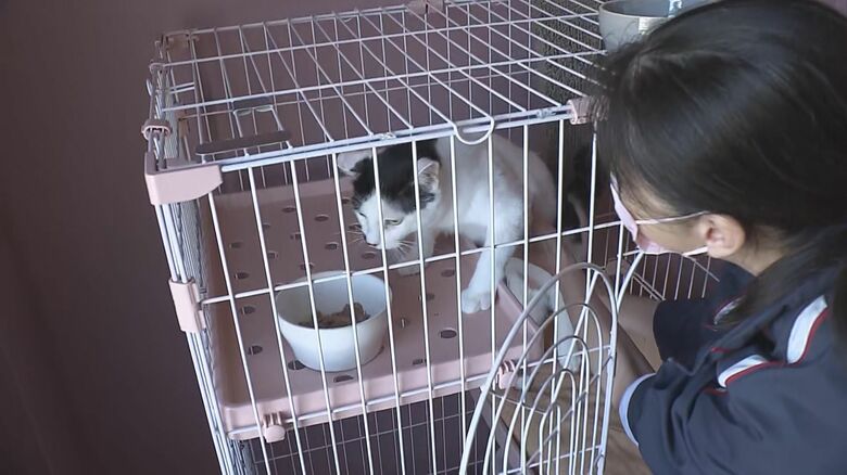 大分市「RIRIMAMの樹」