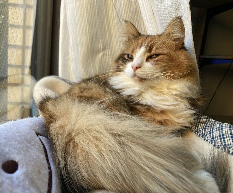 たそがれている？