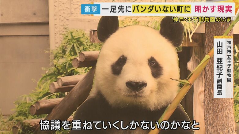 パンダがいない状態が1年以上続く王子動物園