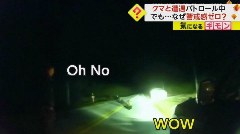 道を歩く2頭の子グマ