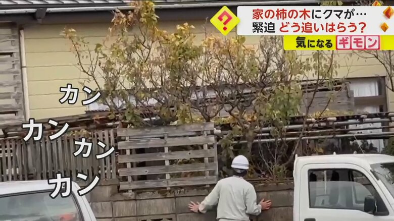 音を立ててクマを追い立てる猟友会の人
