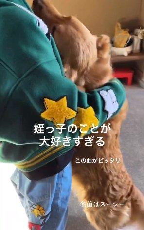 姪っ子さん大好きなスーシーちゃん