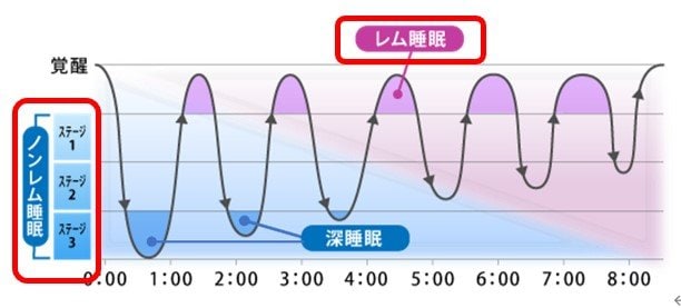 「ノンレム睡眠」と「レム睡眠」（提供：一般社団法人ウェルネス総合研究所）