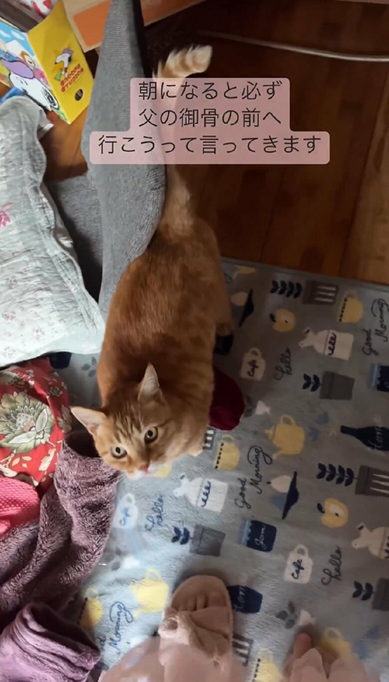 「何？」飼い主さんの問いかけに