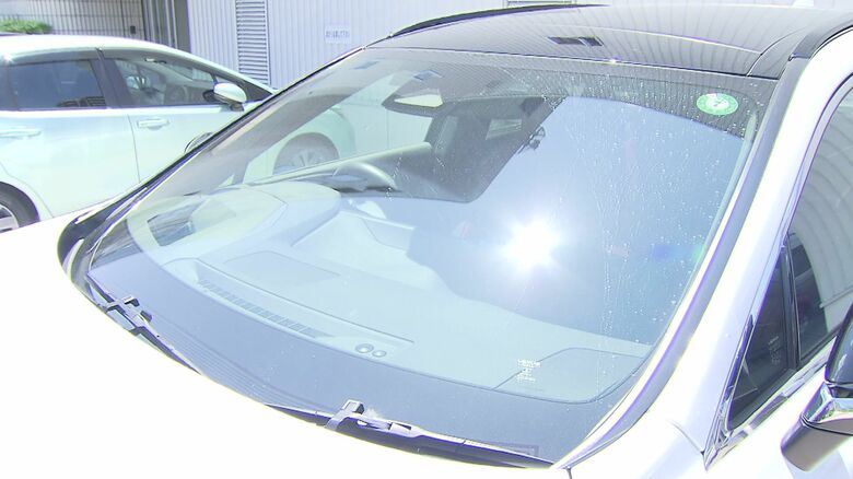 特に注意したいのが車の中の高温