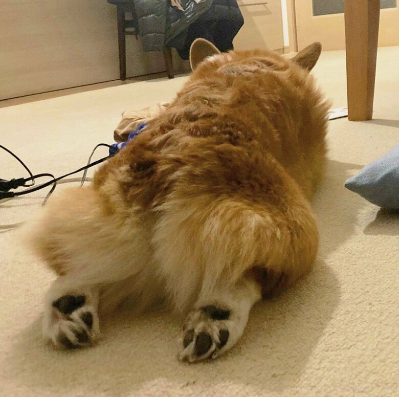 提供：むぎん家＠きよらさん