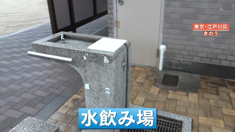 公園の水飲み場