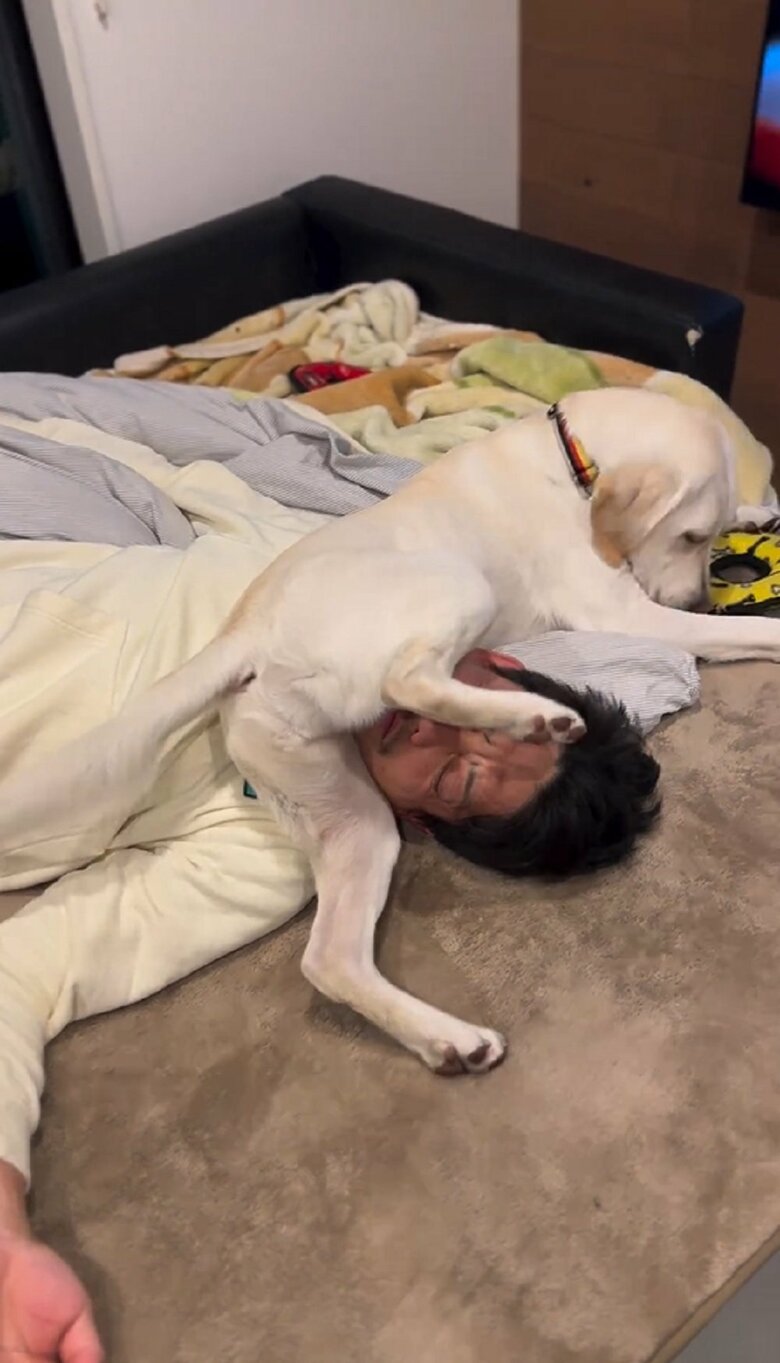 そして、そのまま後ろ足をおろしていく