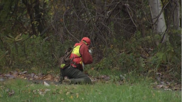 緊張感が漂う実践さながらの訓練