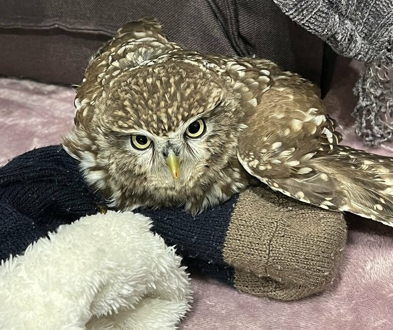 靴下を「とったどー！」