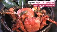 地元では「ズガニ」　モクズガニ漁始まる　塩ゆでやみそ鍋で楽し…