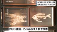 魚について学ぶ企画展　約150点の剥製や標本　下田の道の駅で開催