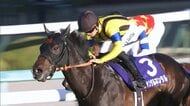 【朝日杯フューチュリティステークス・GⅠ】2歳王者決定戦！ 無敗馬が勝つか、それとも―
