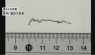  小学校の給食に針金が混入　「野菜のごま和え」食べようとした児童が発見　被害は無し　市教委が原因調べる