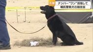 “ワン”ダフルな嗅覚を発揮　松前町で民間の警察犬の競技会「足跡追及」「捜索」で能力発揮【愛媛】