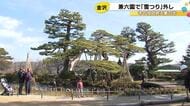 高さ10mの“巣ごもり松”から…金沢の兼六園で雪つりの取り外し作業始まる 約800カ所で3/23まで