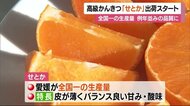 高級かんきつ「せとか」出荷スタート 愛媛が全国一の生産量 例年並みの品質に【愛媛】