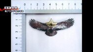 人気ブランドの偽物のアクセサリー販売し男2人逮捕【新潟】