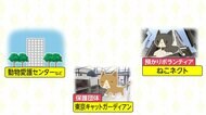 猫に居場所を! 逆転の発想 新たな飼い方“預かり入居”