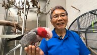 鳥の保護活動を20年超、1000羽以上を救った保護鳥活動　先駆者“鳥爺”の思い【アスヨク！】