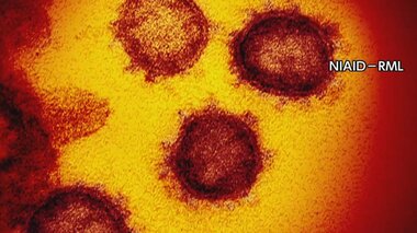 新型コロナウイルス 東京都で新たに4058人感染確認 初の4000人超え 死亡3人