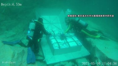 「青の洞窟」海底でワインを熟成…5年後の