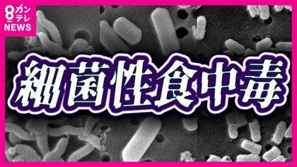 「食中毒注意報」出る　梅雨時は『細菌性の食中毒』に注意　予防の3原則「つけない・増やさない・やっつける」