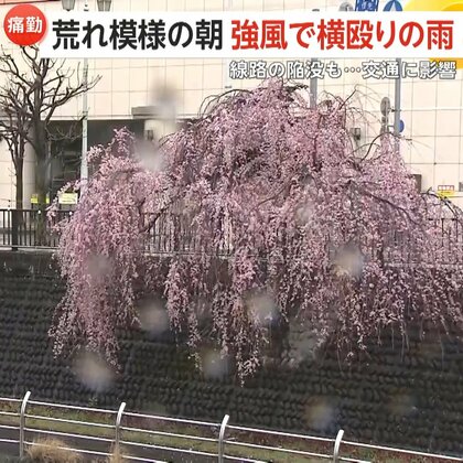 【危険】横持ちの傘で失明・骨折の恐れ！先端の衝撃は「ピアノ1台分」240重量キロ…東京都が実験映像を公開