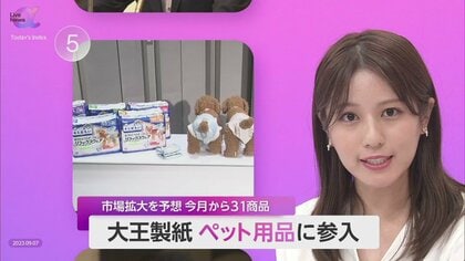 大王製紙が「ペット用品」参入　犬用おむつ等を販売へ…「紙ビジネス」は縮小傾向、有望市場で“用途拡大戦略”