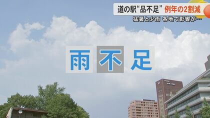 「早く雨降って」厳しい暑さに雨不足のダブルパンチ　熊本県内では農作物やダムに影響も【熊本発】