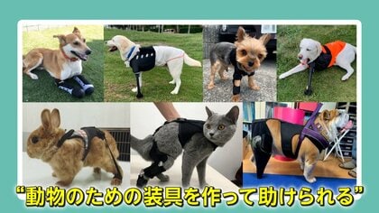 ペットを助ける！&ldquo;動物専門の義肢装具士&rdquo;事故などで手足を失った動物たちの義足を製作　人も動物も生きやすい世界をめざす