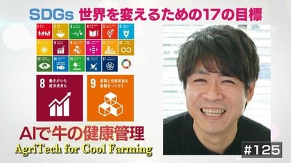 牛にセンサーを付けて24時間モニタリング！ IoT技術を使う新しい畜産のカタチ