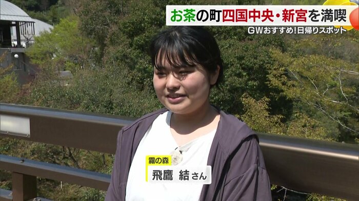 新宮茶は全国でも珍しい農薬を使っていないお茶