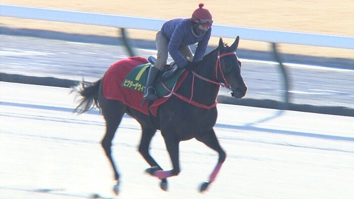 中京競馬場で追い切りをする ビクターザウィナー