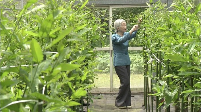 野蚕室で「山つけ」をされる皇后さま