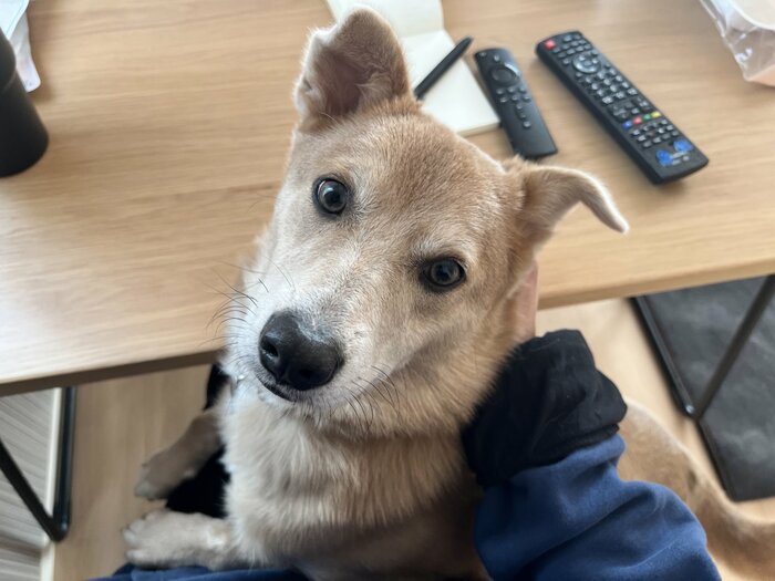 普段のあさぎちゃん